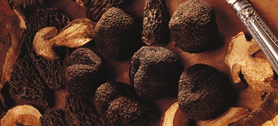 Truffes, champignons